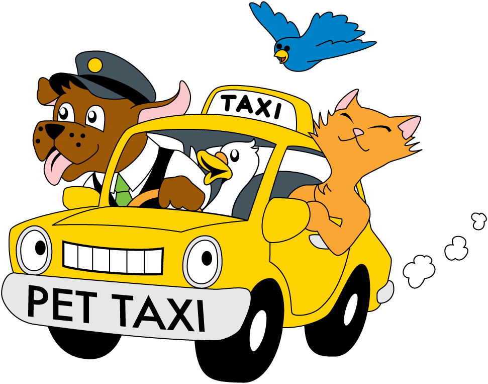 pet taxi