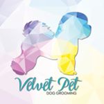 Velvet Pet Dog Grooming
